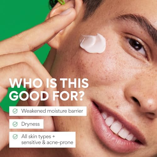 Innisfree Green Tea Seed Hyaluronic Acid Cream - Hydrating Face Moisturizer with Ceramide, Jumbo Size