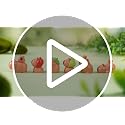 Mini Capybara Figurines Set - Resin Animal Decor for DIY Crafts, Cake Toppers & Fairy Gardens