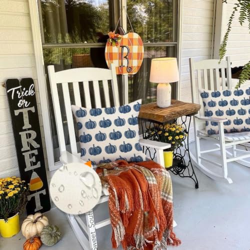 Outdoor Pillow Covers 18x18 Waterproof Blue Pumpkin Set of 2 Fall Decor