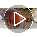 Artificial Red Mango Fruit Decor - Realistic Fake Fruit for Home & Party Decoration 6pcs