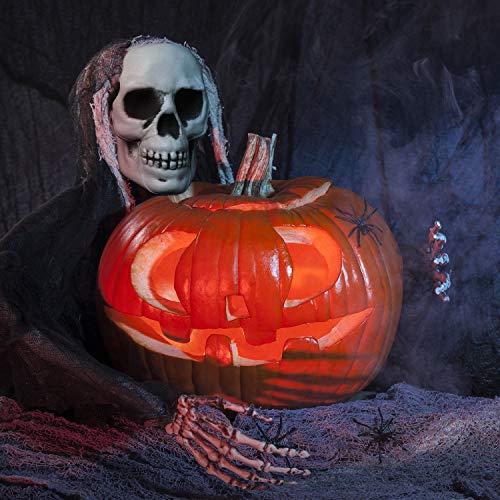 Halloween Skull Decoration Set - Realistic Plastic Skulls 3.1 x 3.5 x 4.7 Inches, 8 Pieces