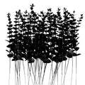 Artificial Eucalyptus Stems Black 36Pcs Faux Greenery for Wedding Decor & Home Centerpieces