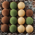 Velvet Christmas Ball Ornaments Set - 30pcs 3.15 Inch Flocked Holiday Decor - Green, Brown, Beige