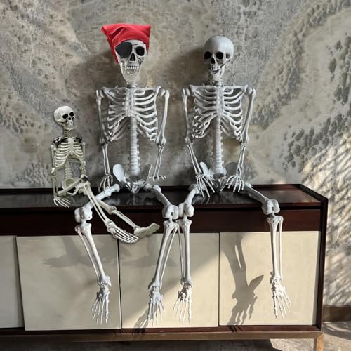 Posable Halloween Skeleton Prop - Life Size 5.4ft & 3ft Full Body Bones with Joints