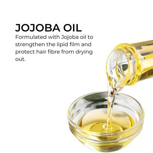 PHYTO NOURISHMENT Nourishing Shampoo - Sulfate-Free Jojoba Oil Formula for Dry, Hydrated Hair