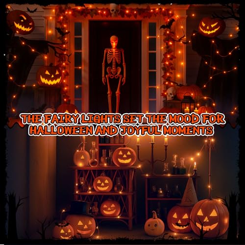 USB Fairy Lights 6 Pack - 33ft 100 LED Orange String Lights for Bedroom & Decor - Variation of THIS Listing