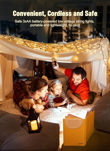 Brightown Warm White Battery String Lights - 4 Pack Indoor Xmas Decor