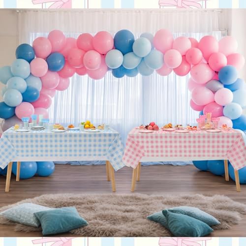 Pink and Blue Gingham Gender Reveal Party Supplies - 452 Pcs Baby Shower Decorations