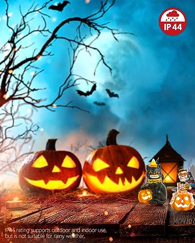 Halloween Indoor Decorations 2-Pack Resin Black Cat & Skeleton Pumpkin Lights