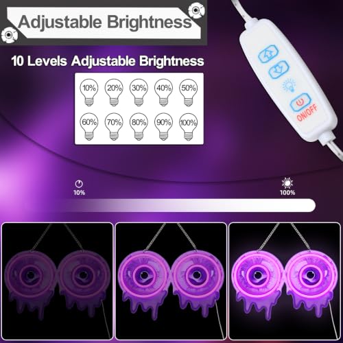 Halloween 2 Eyeball Neon Sign - Purple Eyeball LED Light for Indoor Decor
