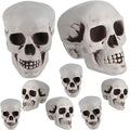 Halloween Skull Decoration Set - Realistic Plastic Skulls 3.1 x 3.5 x 4.7 Inches, 8 Pieces