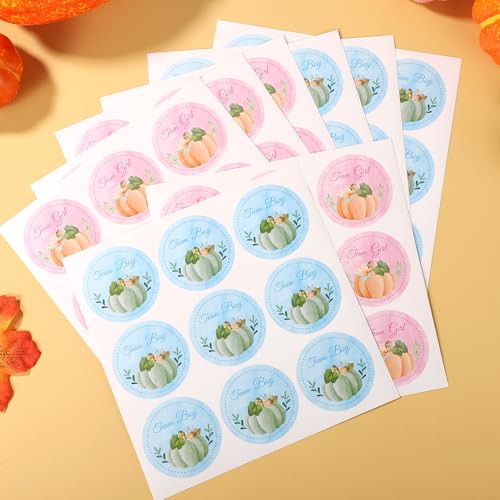 72pcs Pumpkin Gender Reveal Stickers - Team Boy & Team Girl Fall Party Decorations - Style 1