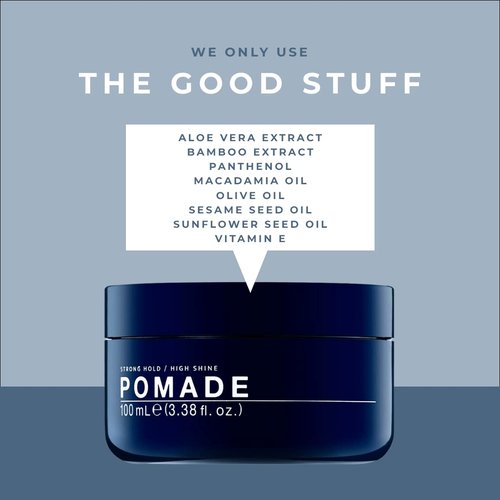Regine Switzerland Glossing Hair Pomade - Strong Hold & High Shine, 3.38 Fl Oz