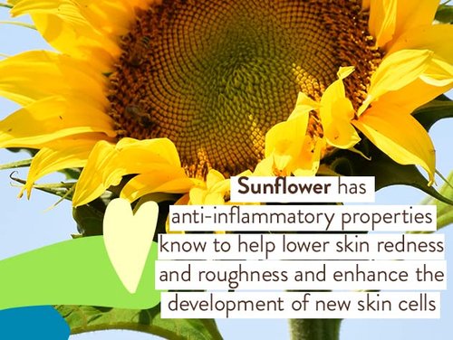 Babo Botanicals Super Shield Mineral Sunscreen Spray SPF 50 | Natural Zinc Oxide & Titanium Dioxide for Sensitive Skin
