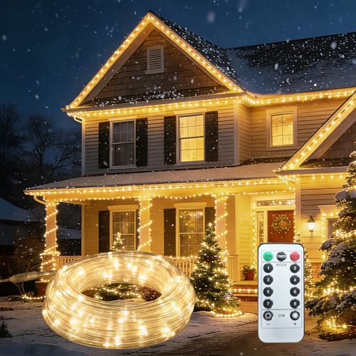 100ft LED Rope Light with Remote - Warm White, 8 Modes, Timer & Memory, Outdoor Waterproof, 30M