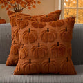 Fall Pumpkin Pillow Covers 18x18 Inches Rust Brown Set of 2 Autumn Decor