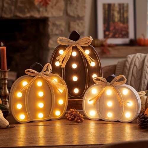 Lighted Pumpkin Decor Set - Brown Farmhouse Fall Thanksgiving Halloween