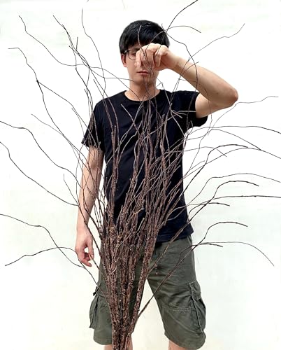 Artificial Curly Willow Branches with Dried Twigs - Pattern B - 4 Pack, 63 Inches