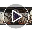 Flying Witch Halloween Decoration - Animated 4ft Hanging Prop with Lighted Eyes and Sound Activation for Yard & Indoor Haunted House