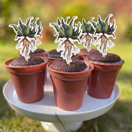 Magical Wizard Cake Toppers Set with Flower Pots for Birthday & Halloween Baking