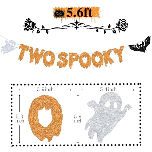 Halloween 2nd Birthday Banner - Spooky Hello Boo Bat Decorations for Kids