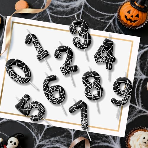 Black and White Number 4 Birthday Candle for Cake - Cobweb Theme Party Decorations