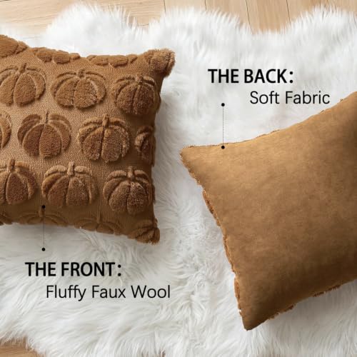 Fall Pumpkin Pillow Covers 18x18 Inch Set of 2 Brown Autumn Decor