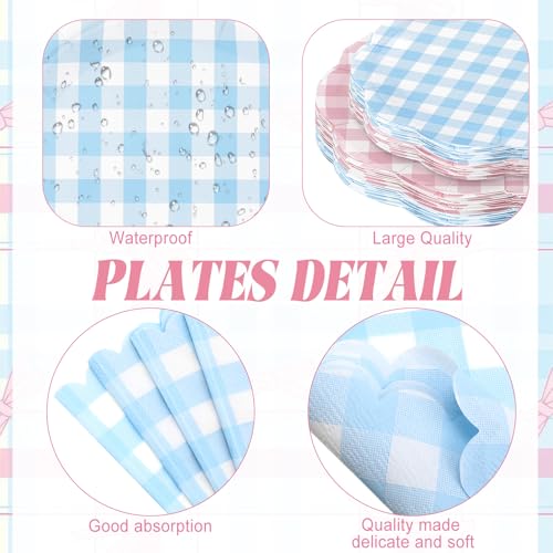 Pink and Blue Gingham Gender Reveal Party Supplies - 452 Pcs Baby Shower Decorations