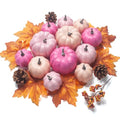 Pink Fall Pumpkin Decor Set - 22 pcs Autumn Harvest Wreath & Table Decorations (Assorted Pink)