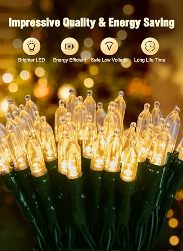 Brightown Warm White Battery String Lights - 4 Pack Indoor Xmas Decor