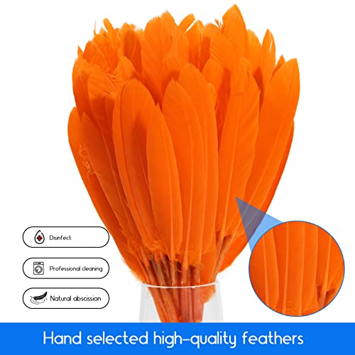 Orange Goose Cochettes Feather Bulk 120pcs 4-6 Inch for DIY Crafts & Decorations