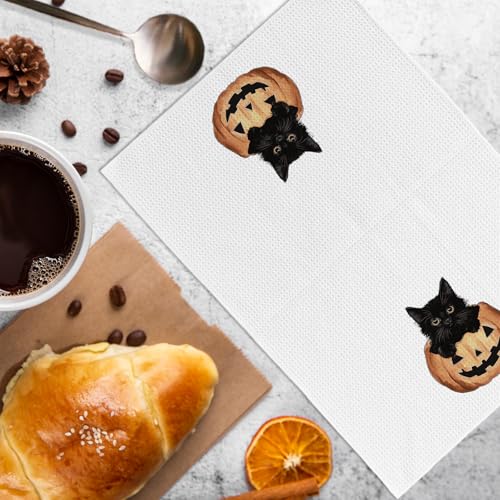 Halloween Black Cat Kitchen Towels - Gothic Fall Spooky Pumpkin Decor - 16x24 Inches - Black Cat Variation