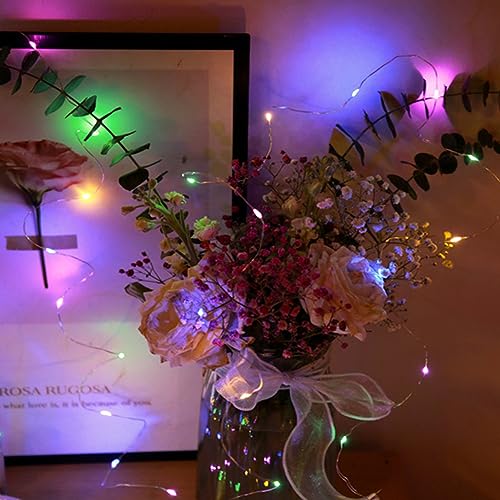 Fairy String Lights 7Ft 20 LED Multi-Color Waterproof Battery Operated - Flash Colorful Variation
