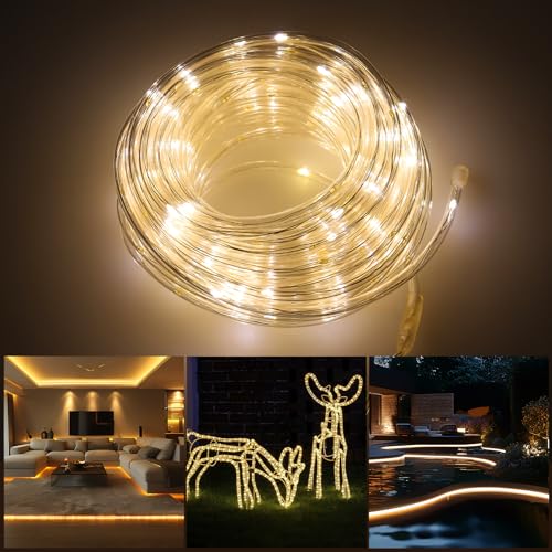 Blue 2x50ft LED Rope Light with Remote & 8 Modes - Outdoor Twinkle Decor