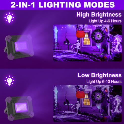 Rechargeable UV Black Light with 405nm Purple Variation, High & Low Modes