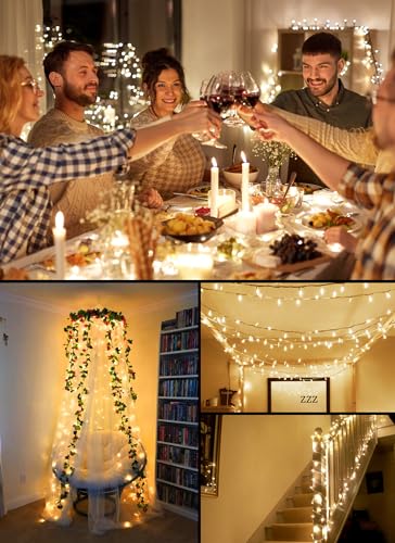 Brightown Warm White Battery String Lights - 4 Pack Indoor Xmas Decor
