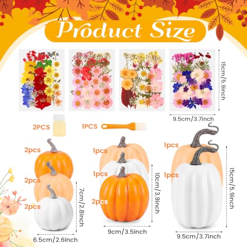 White Orange Foam Pumpkin DIY Kit with Dried Flowers - 12 Pumpkins & Accessories