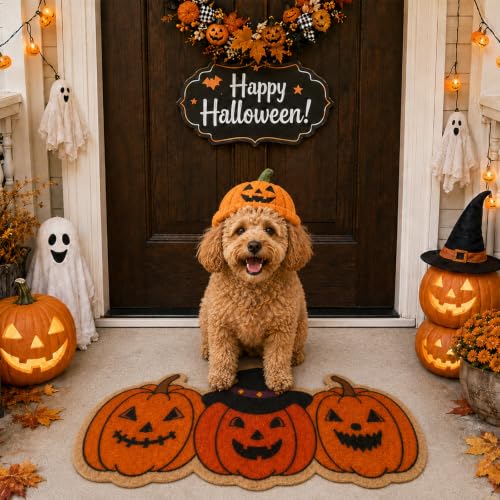 Halloween Door Mat Pumpkin Patterned Doormat 30x17in - Orange Variation
