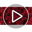 Artificial Cherries for Home Decor - 120 Pcs Foam Cherry Style