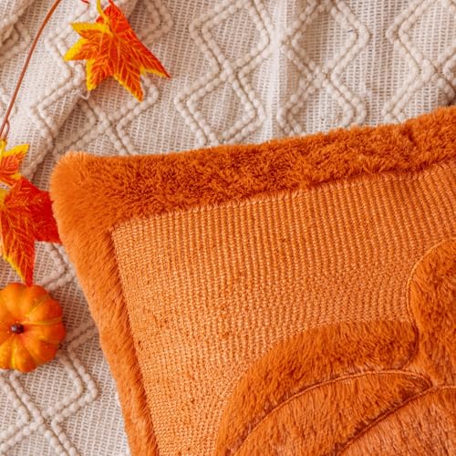 Rust Pumpkin Fall Throw Pillow Cover 18x18 - Autumn Decor, Plush Fabric, Set of 1