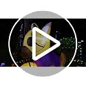 Halloween Inflatable Dog with LED Lights - Pirate Yard Decoration for Outdoor Lawn