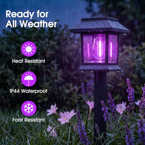 Purple Solar Pathway Lights 12 Pack Outdoor Waterproof Garden Decor - Auto On/Off