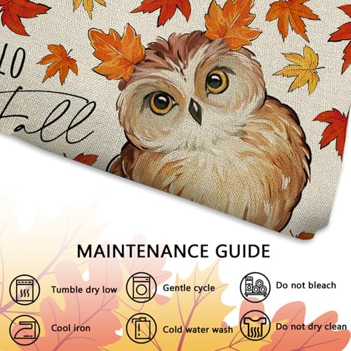 Fall Owl Bird Lumbar Throw Pillow Cover 12x20 - Autumn Decor Variation of THIS listing: Fall Owl / 20" x 12"