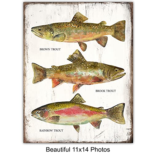 11x14 Fishing Wall Art Set - Lake Mountain House Decor - Rustic Bass & Trout Prints - Unframed Gift Idea - Variation of THIS listing