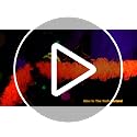 Neon Pumpkin Halloween Garland - 26ft Fluorescent Tinsel Decor with Pumpkins - Variation of THIS listing