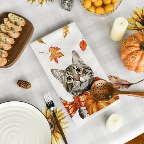 Cat Pumpkin Fall Kitchen Towels Set of 2 - 18x26 Inch, Absorbent & Stylish