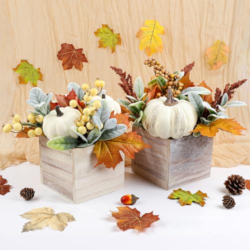 Autumn Fall Pumpkin Decor Set in Wooden Box - Harvest Thanksgiving Centerpieces