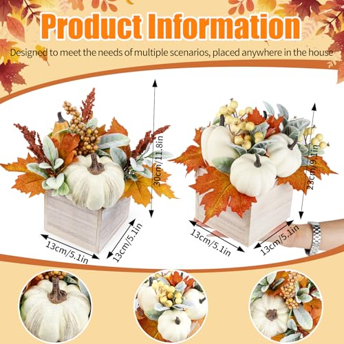 Autumn Fall Pumpkin Decor Set in Wooden Box - Harvest Thanksgiving Centerpieces
