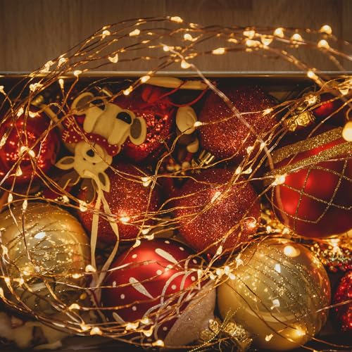 Battery Operated Fairy Lights 16ft Warm White Copper Wire String Lights for Christmas, Weddings, Party, Indoor Decor