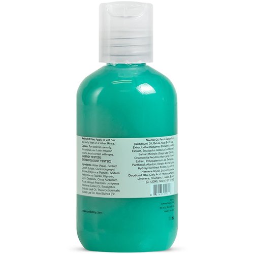 Anthony Men's Body Wash & Shampoo - Invigorating 2-In-1 Liquid Gel Soap with Pine Wood Scent | 3.4 Fl. Oz